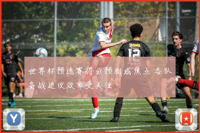 世界杯预选赛得分预测成焦点 各队备战进攻效率受关注