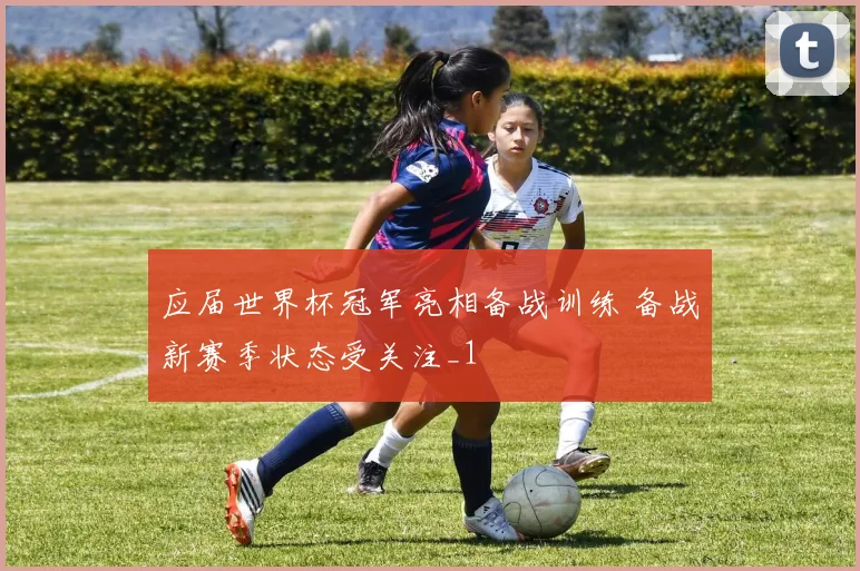 应届世界杯冠军亮相备战训练 备战新赛季状态受关注_1