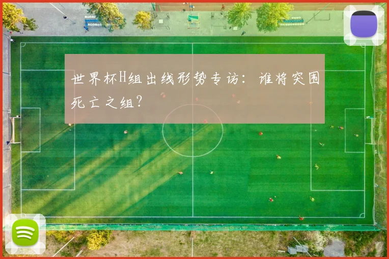 世界杯H组出线形势专访：谁将突围死亡之组？
